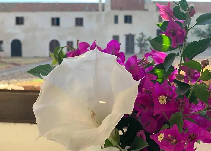 Corte Del Vento. Antiche Tonnare Di Porto Paglia Hébergement de vacances