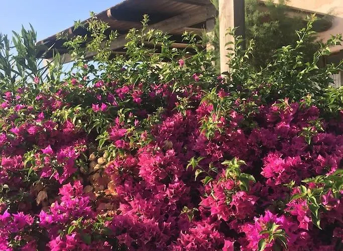 Hébergement de vacances Corte Del Vento. Antiche Tonnare Di Porto Paglia