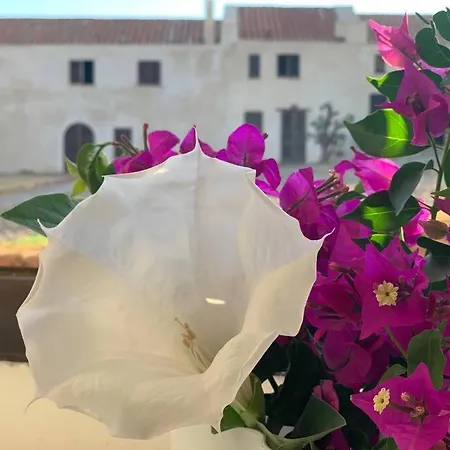 Corte Del Vento. Antiche Tonnare Di Porto Paglia Holiday home